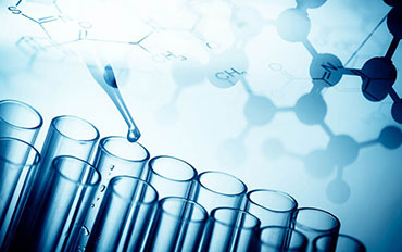 在线短信呼死你